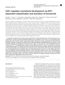 cr201651a-Cdh1 regulates craniofacial development via APC-dependent ubiquitination and activation of Goosecoid