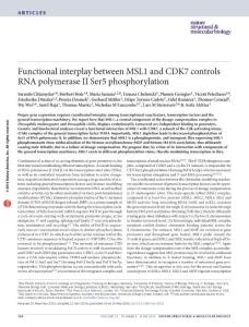 nsmb.3233-Functional interplay between MSL1 and CDK7 controls RNA polymerase II Ser5 phosphorylation