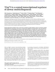 Genes Dev.-2016-Nemajerova-1300-12-TAp73 is a central transcriptional regulator of airway multiciliogenesis