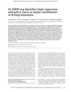 Genes Dev.-2016-Wahba-1327-38-S1-DRIP-seq identifies high expression and polyA tracts as major contributors to R-loop formation