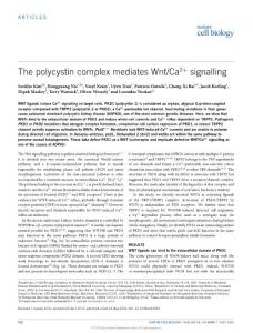 ncb3363-The polycystin complex mediates Wnt-Ca2+ signalling