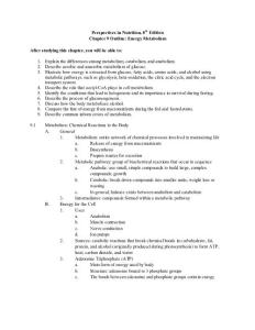 Perspectives in Nutrition, 8th Edition