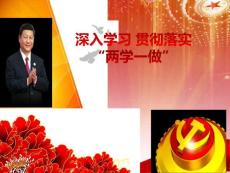 “两学一做”课件