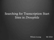 Searching for Transcription Start Sites