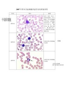 卫生部血细胞形态学室间质量评价图片