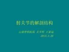 肘关节解剖结构