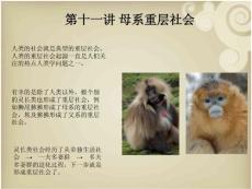 第十一講 重層社會