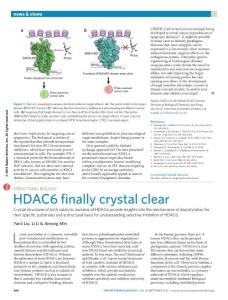 nchembio.2158-Structural biology- HDAC6 finally crystal clear