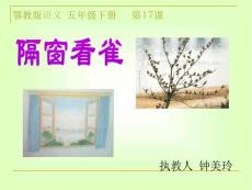 17  隔窗看雀 2