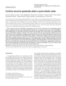 cr201676a-Cortical neurons gradually attain a post-mitotic state