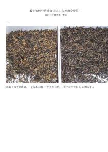 新： 教你如何分辨武夷山本山与外山金骏眉
