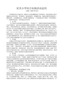 星光小學綜合實踐活動總結