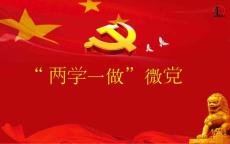 “两学一做”微党课