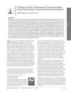 The pattern of grain yield response of normal and quality…