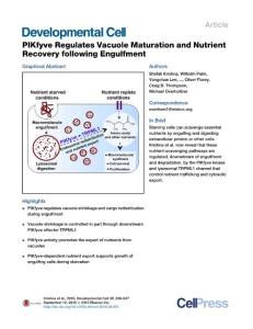 Development Cell-2016-PIKfyve Regulates Vacuole Maturation and Nutrient Recovery following Engulfment