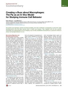 Developmental Cell-2016-Creating a Buzz about Macrophages- The Fly as an In Vivo Model for Studying Immune Cell Behavior