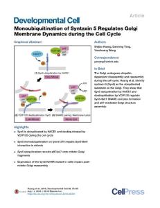 Developmental Cell-2016-Monoubiquitination of Syntaxin 5 Regulates Golgi Membrane Dynamics during the Cell Cycle