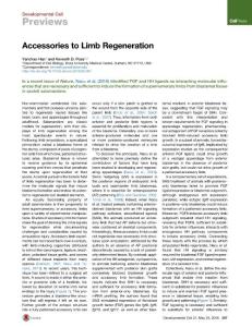 Developmental Cell-2016-Accessories to Limb Regeneration