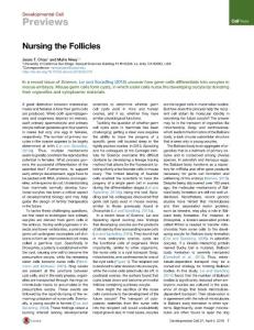 Developmental Cell-2016-Nursing the Follicles