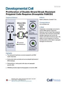 Developmental Cell-2016-Proliferation of Double-Strand Break-Resistant Polyploid Cells Requires Drosophila FANCD2