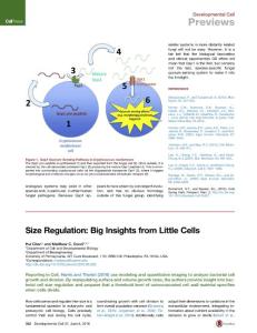 Developmental Cell-2016-Size Regulation- Big Insights from Little Cells