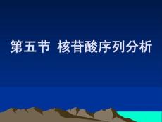 第五節(jié)核酸的序列分析