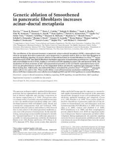 Genes Dev.-2016-Liu-1943-55-Genetic ablation of Smoothened in pancreatic fibroblasts increases acinar–ductal metaplasia