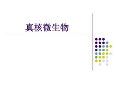 真核微生物