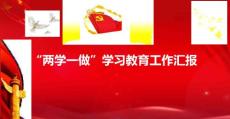 两学一做工作汇报