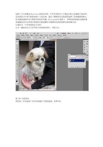 Adobe Photoshop CS5 新增功能之03 - 更方便更智能化的毛發(fā)摳像技術(shù).do