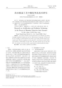 海水提溴工藝中酸化氧化技術研究_蘇志川