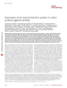 nbt.3665-Expression of an insecticidal fern protein in cotton protects against whitefly