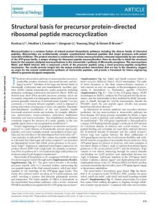 nchembio.2200-Structural basis for precursor protein–directed ribosomal peptide macrocyclization