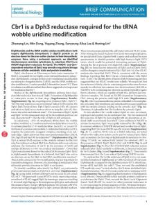 nchembio.2190-Cbr1 is a Dph3 reductase required for the tRNA wobble uridine modification