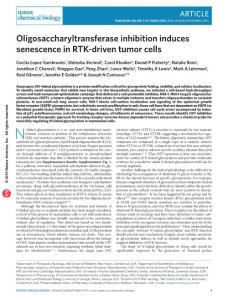 nchembio.2194-Oligosaccharyltransferase inhibition induces senescence in RTK-driven tumor cells