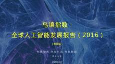 烏鎮(zhèn)指數(shù)：2016全球人工智能發(fā)展報(bào)告