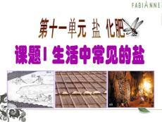 《生活中常见的盐》ppt课件资料