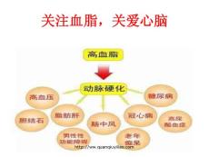 关注高血脂高血脂 ppt课件