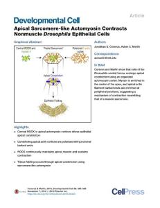 Developmental Cell-2016-Apical Sarcomere-like Actomyosin Contracts Nonmuscle Drosophila Epithelial Cells