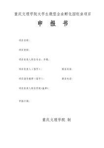 重庆文理学院大学生微型企业孵化园创业项目