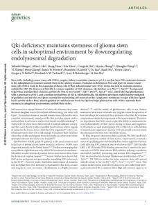 ng.3711-Qki deficiency maintains stemness of glioma stem cells in suboptimal environment by downregulating endolysosomal degradation