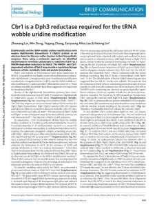 nchembio.2190-Cbr1 is a Dph3 reductase required for the tRNA wobble uridine modification