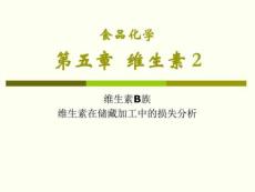 食品化學維生素2