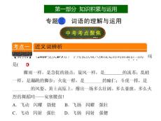 2018版 直通中考复习PPT课件 语文 第一部分 专题3  词语的理解与运用