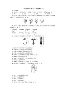 2018版 直通中考复习PPT课件 生物  跟踪突破练习 第三单元第二章 被子植物的一生