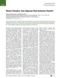 Developmental Cell-2016-Redox Paradox- Can Hypoxia Heal Ischemic Hearts?