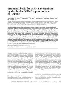 Genes Dev.-2016-Structural basis for snRNA recognition by the double-WD40 repeat domain of Gemin5