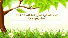 I will bring a big bottle of orange juice 课件