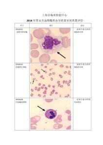 2016年上海市第1次血细胞形态学室间质评