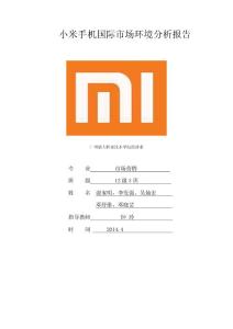 國(guó)際市場(chǎng)營(yíng)銷環(huán)境分析報(bào)告2